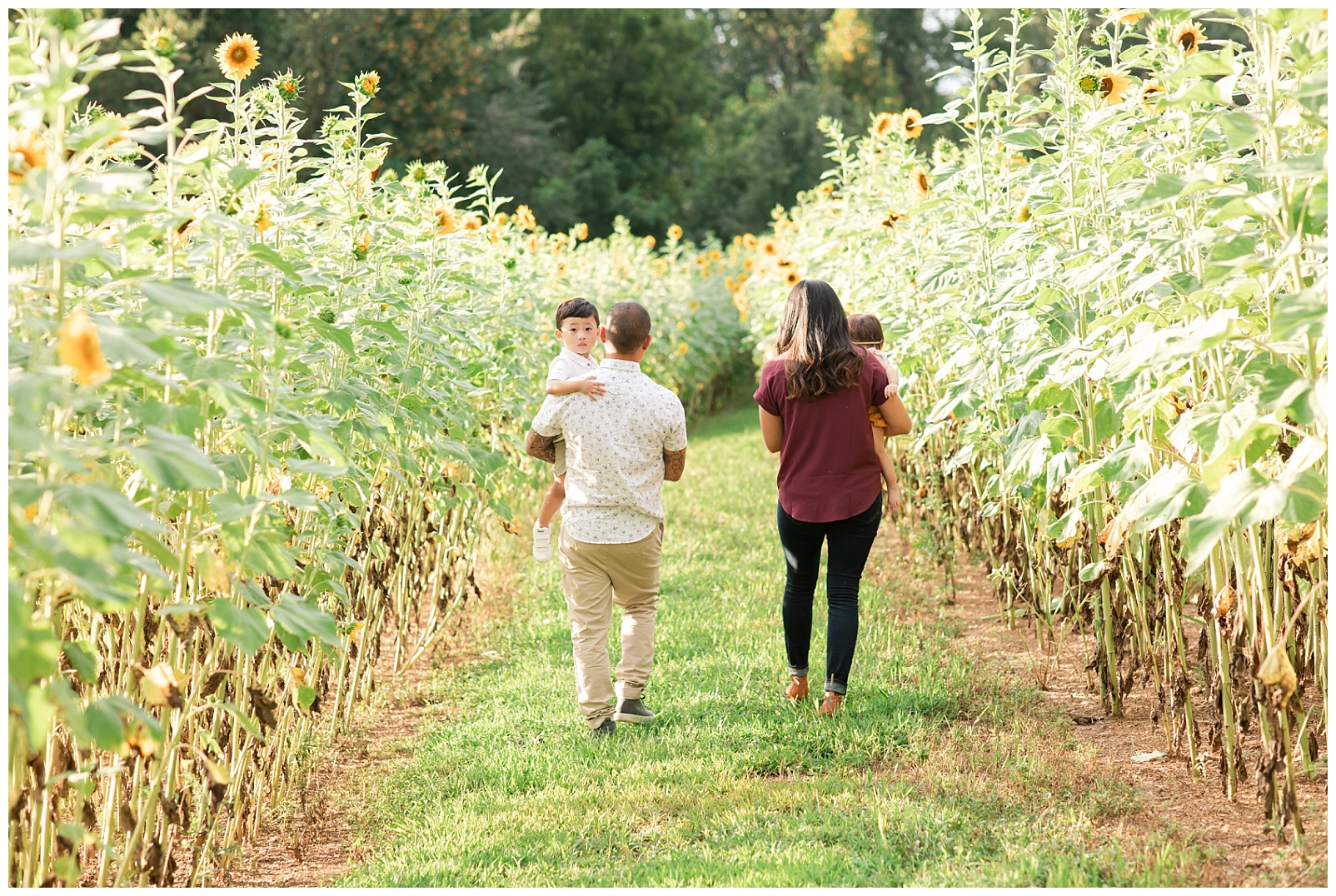 family of four walking through sunflowers