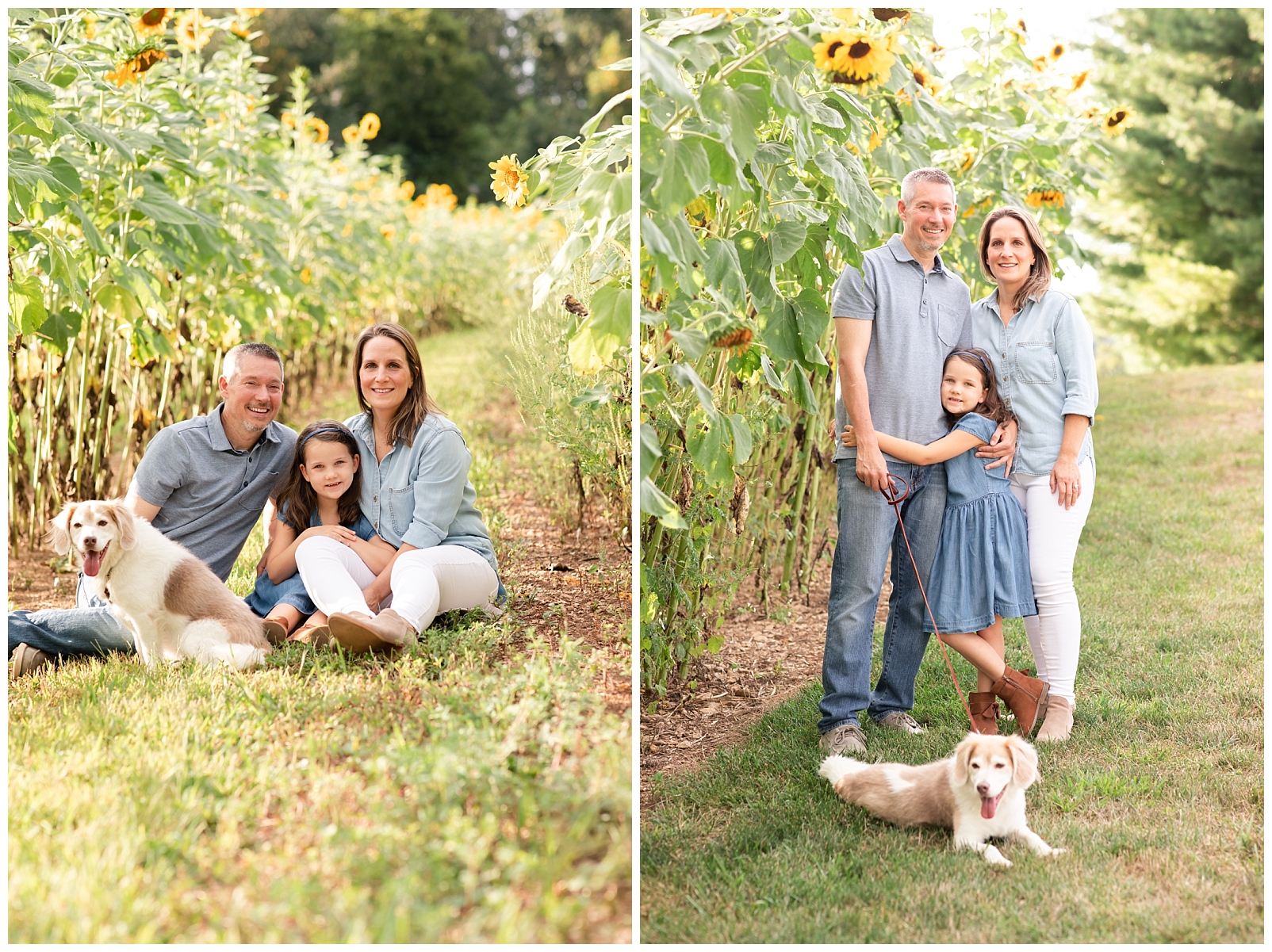 family of 3 with a dog in a sunflower garden