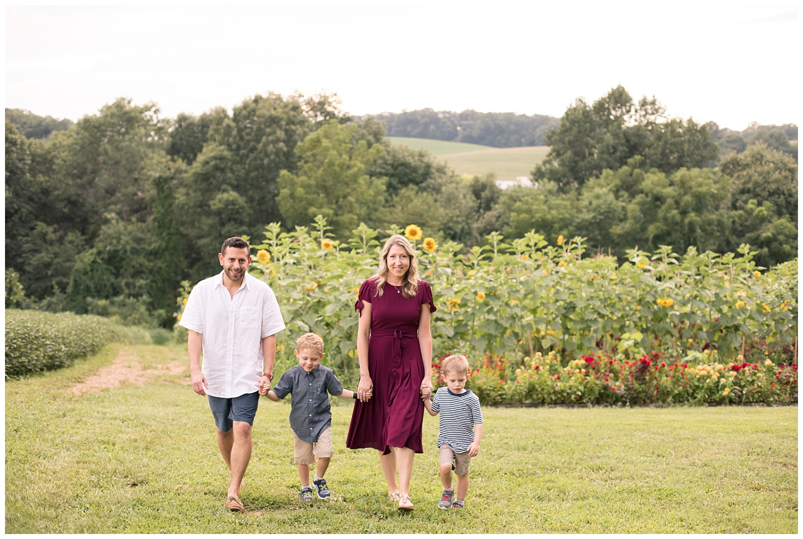 family of 4 walking through a sunflower field