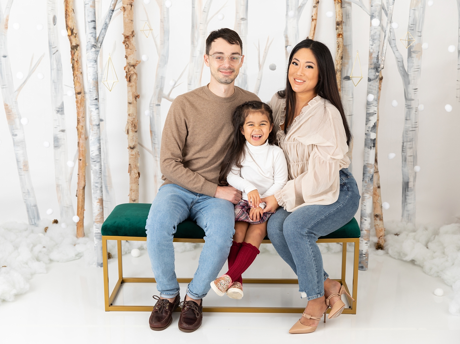 family sitting in front of birch trees and snowballs for Christmas Studio Minis Maryland