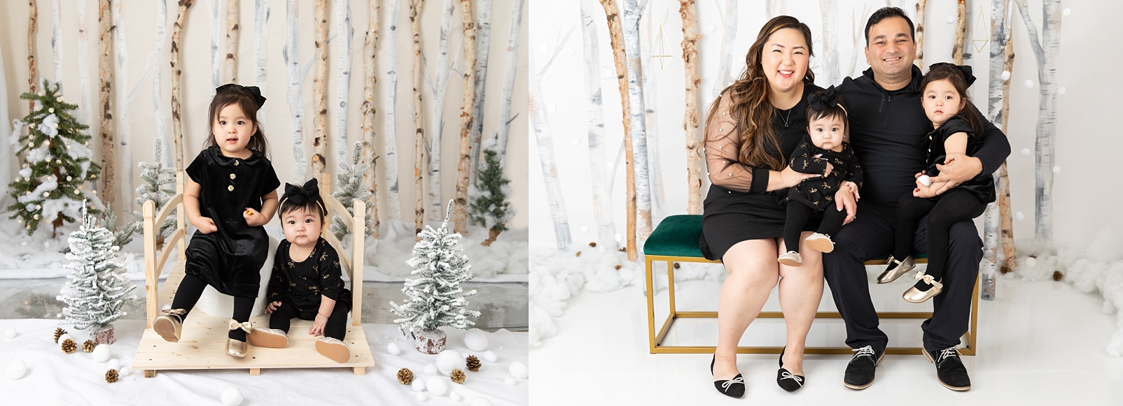 family sitting in front of birch trees and snowballs for Christmas Studio Minis Maryland