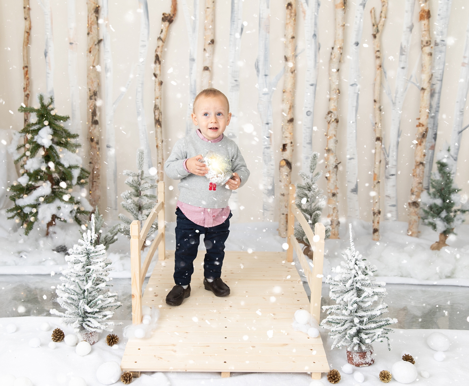 boy standing on a bridge in front of birch trees and snowballs for Christmas Studio Minis Maryland