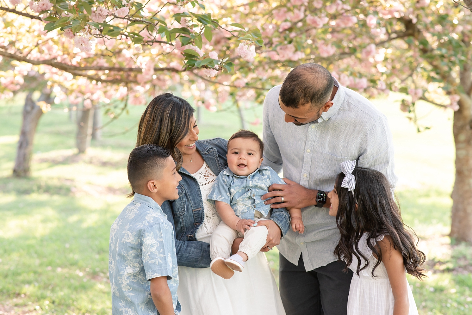 Spring portraits of a family of 5 under cherry blossom trees with Maryland Family Photographer | Rebecca Leigh Photography