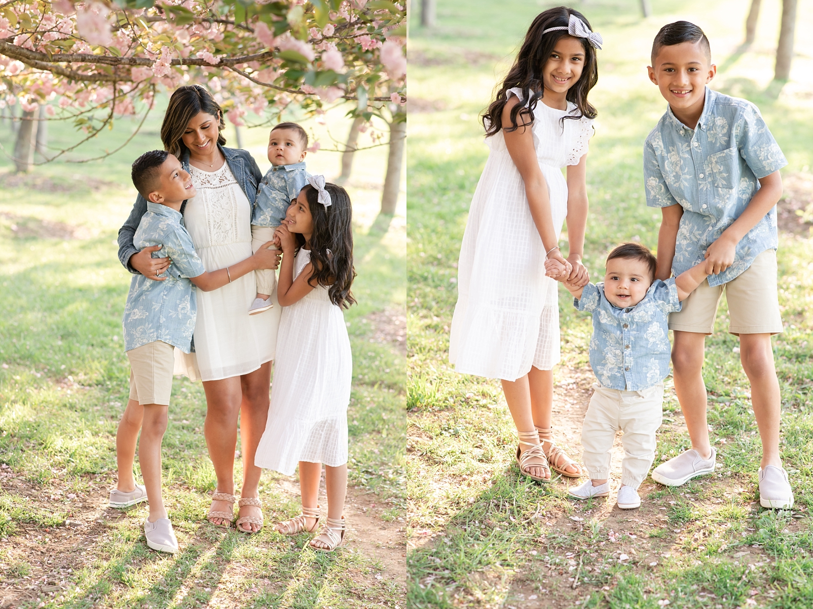 Spring portraits of a family under cherry blossom trees with Maryland Family Photographer | Rebecca Leigh Photography
