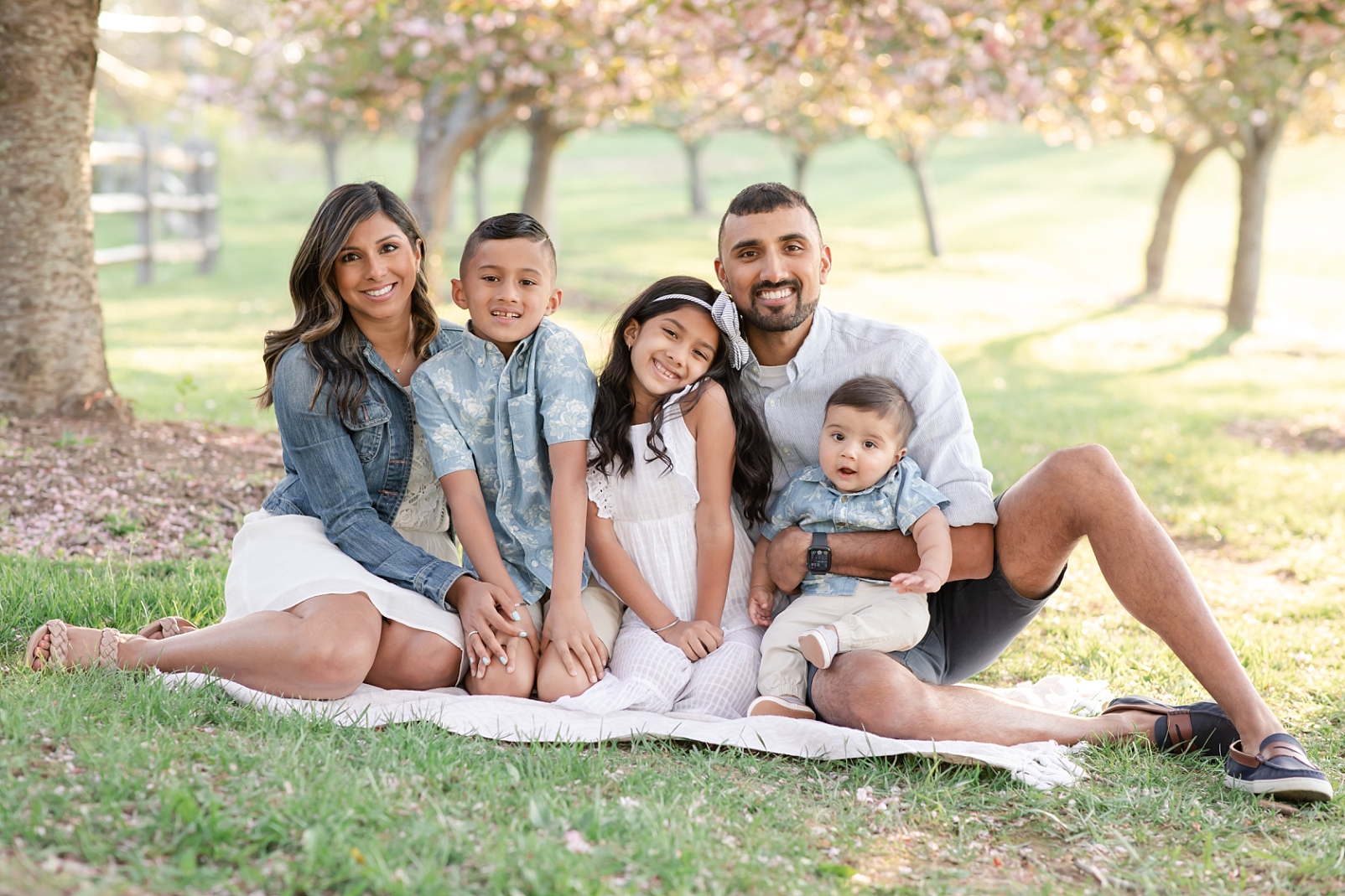 Spring portraits of a family of 5 under cherry blossom trees with Maryland Family Photographer | Rebecca Leigh Photography