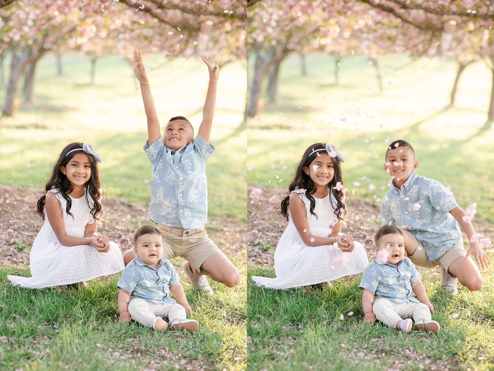 Spring portraits throwing Cherry blossom petals on the ground