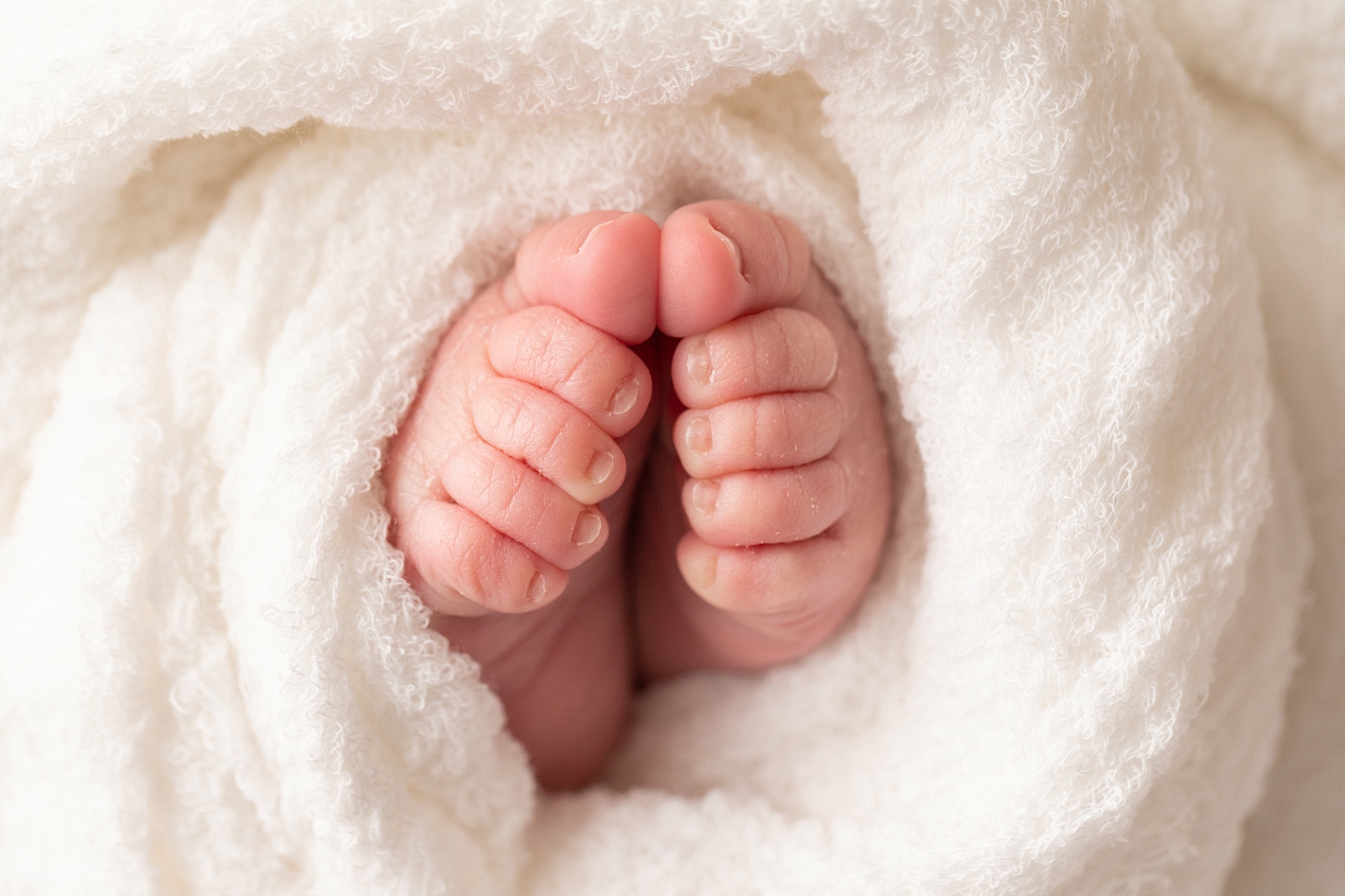 how to choose and download your digital images of a macro photo of your baby's toes
