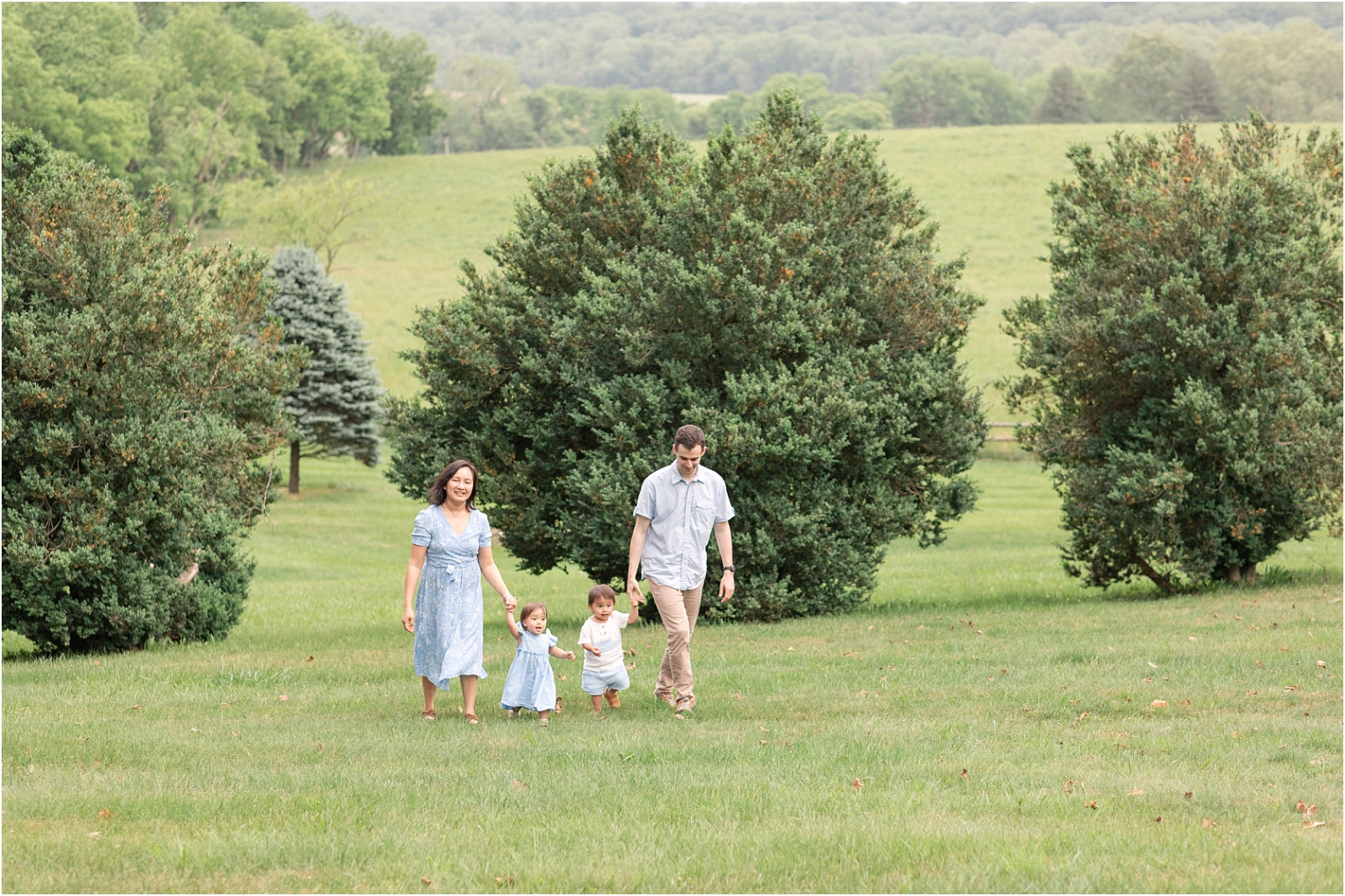 A family of 4, including 2 toddlers walking up a grassy hill with trees in the background for How to Prepare Toddlers for a Photo Session - Rebecca Leigh Photography