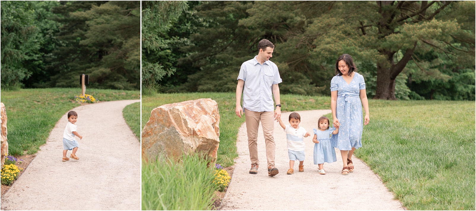 A little boy wearing a white shirt and blue shorts is walking on a pathway and a dad, two children, and a mom wearing white and blue are walking on a pathway next to a rock and flowers showing how to prepare toddlers for a photo session
