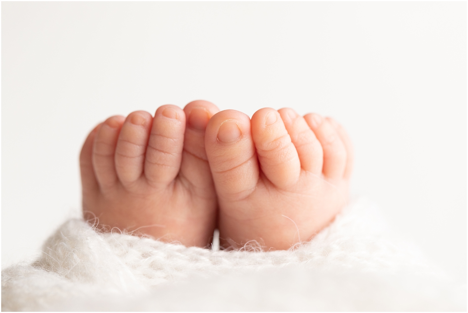 Macro photo of newborn toes - Rebecca Leigh Photography
