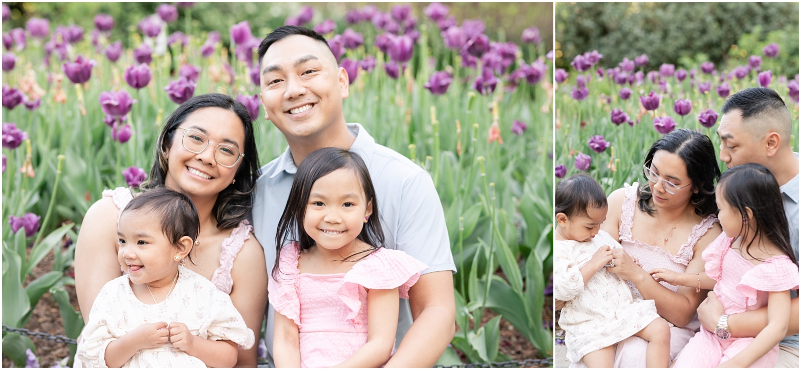 family of 4 sitting in front of purple tulips