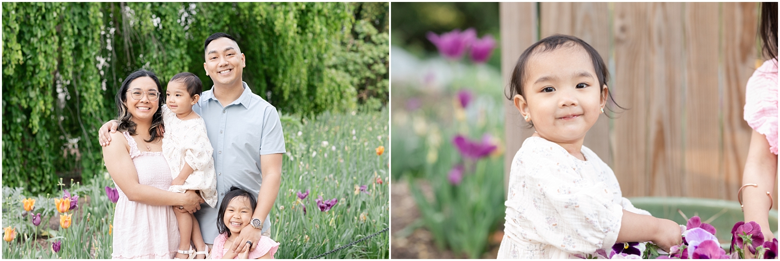 family of 4 smiling in a tulip garden and a girl standing next to pansies