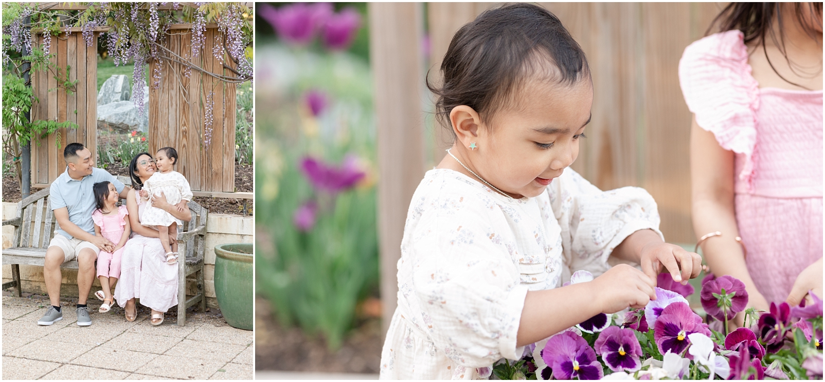 Family of 4 sitting on a bench underneath purple flowers on a vine and a girl looking at pansies